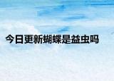 今日更新蝴蝶是益虫吗