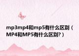 mp3mp4和mp5有什么区别（MP4和MP5有什么区别?）