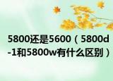 5800还是5600（5800d-1和5800w有什么区别）