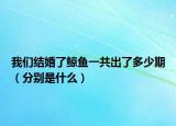 我们结婚了鲸鱼一共出了多少期（分别是什么）
