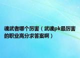 魂武者哪个厉害（武魂pk最厉害的职业高分求答案啊）