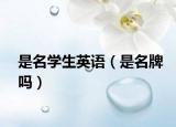 是名学生英语（是名牌吗）