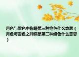 月色与雪色中你是第三种绝色什么意思（月色与雪色之间你是第三种绝色什么意思）