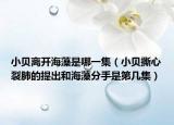小贝离开海藻是哪一集（小贝撕心裂肺的提出和海藻分手是第几集）