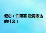 健忘（许茹芸 歌词表达的什么）