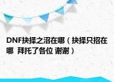 DNF抉择之沼在哪（抉择只招在哪  拜托了各位 谢谢）