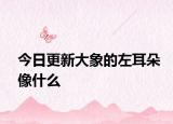 今日更新大象的左耳朵像什么