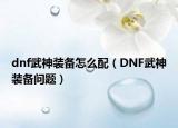 dnf武神装备怎么配（DNF武神装备问题）