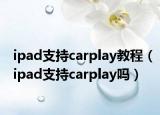 ipad支持carplay教程（ipad支持carplay吗）