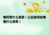 夷所思什么意思（公自言何如夷是什么意思）