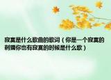 寂寞是什么歌曲的歌词（你是一个寂寞的刺猬你也有寂寞的时候是什么歌）