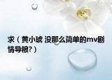 求（黄小琥 没那么简单的mv剧情导粮?）