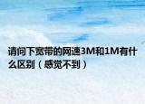 请问下宽带的网速3M和1M有什么区别（感觉不到）