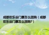 成都欢乐谷门票怎么团购（成都欢乐谷门票怎么团购?）
