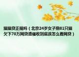 猫猫贷正规吗（北京24岁女子撸81只猫欠下70万网贷遭催收到底该怎么看网贷）