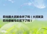 欧尚跟大润发合并了吗（大润发及欧尚都被马云买下了吗）