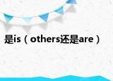 是is（others还是are）