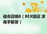 使命召唤8（BEX错误 求高手解答）