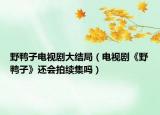 野鸭子电视剧大结局（电视剧《野鸭子》还会拍续集吗）