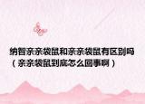 纳智亲亲袋鼠和亲亲袋鼠有区别吗（亲亲袋鼠到底怎么回事啊）