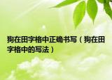 狗在田字格中正确书写（狗在田字格中的写法）