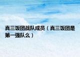 真三饭团战队成员（真三饭团是第一强队么）
