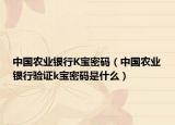 中国农业银行K宝密码（中国农业银行验证k宝密码是什么）