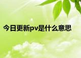 今日更新pv是什么意思