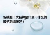 羽绒服十大品牌是什么（什么的牌子羽绒服好）