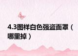 4.3图样白色强盗面罩（哪里掉）