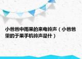 小爸爸中雨果的来电铃声（小爸爸里的于果手机铃声是什）