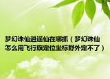 梦幻诛仙逍遥仙在哪抓（梦幻诛仙怎么用飞行旗定位坐标野外定不了）