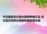 今日更新支付宝水果树种植方法 支付宝怎样种水果树种果树领水果