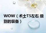 WOW（术士T5左右 级别的装备）