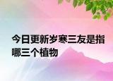 今日更新岁寒三友是指哪三个植物