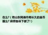 在么?（有山东网通传奇长久的金币服么? 麻烦告诉下谢了!）