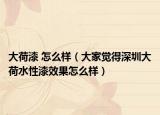 大荷漆 怎么样（大家觉得深圳大荷水性漆效果怎么样）