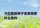 今日更新种子发芽需要什么条件