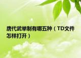 唐代武举制有哪五种（TD文件怎样打开）