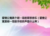 爱情公寓两个胡一菲的背景音乐（爱情公寓里胡一菲的手机铃声是什么啊）