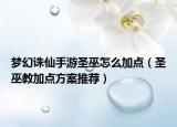梦幻诛仙手游圣巫怎么加点（圣巫教加点方案推荐）