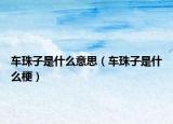 车珠子是什么意思（车珠子是什么梗）