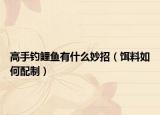 高手钓鲤鱼有什么妙招（饵料如何配制）