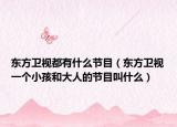 东方卫视都有什么节目（东方卫视一个小孩和大人的节目叫什么）