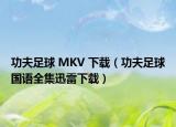 功夫足球 MKV 下载（功夫足球国语全集迅雷下载）
