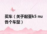 买车（关于起亚k5 nu 各个车型）