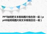 PPT如何把文本框和图片组合到一起（ppt中如何将图片和文本框组合在一起）