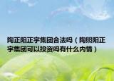 陶正阳正宇集团合法吗（陶照阳正宇集团可以投资吗有什么内情）