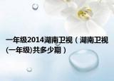 一年级2014湖南卫视（湖南卫视(一年级)共多少期）