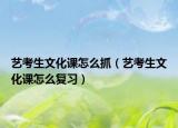 艺考生文化课怎么抓（艺考生文化课怎么复习）